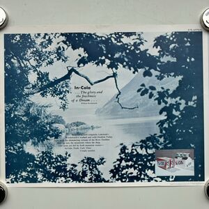 RARE 1974 Vtg Poster 17.5x22.5 IN-COLA Coca Cola Spoof ? Perfection Form Company